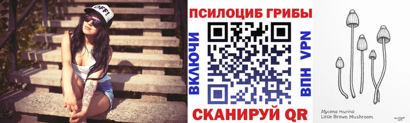 Галлюциногенные грибы Cubensis  Злынка 